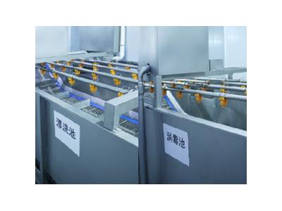风采展示