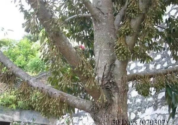 图片7.jpg