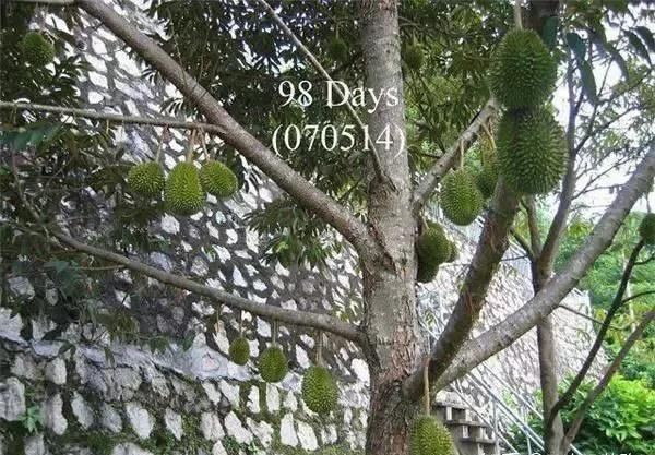 图片30.jpg