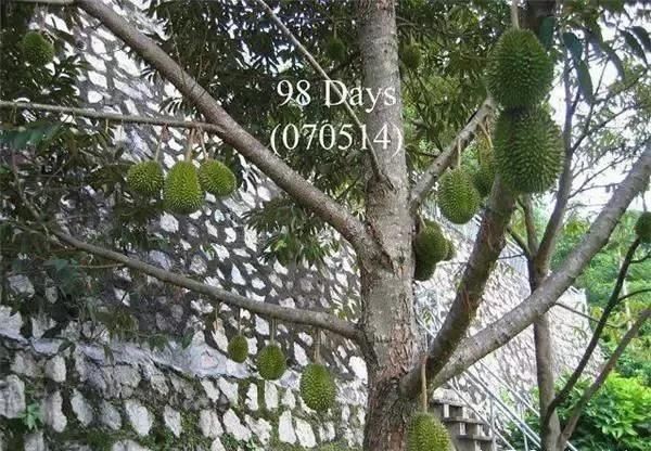 图片31.jpg