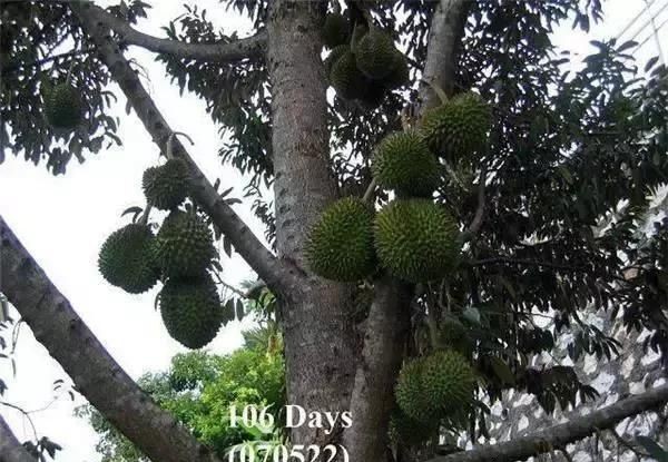 图片33.jpg
